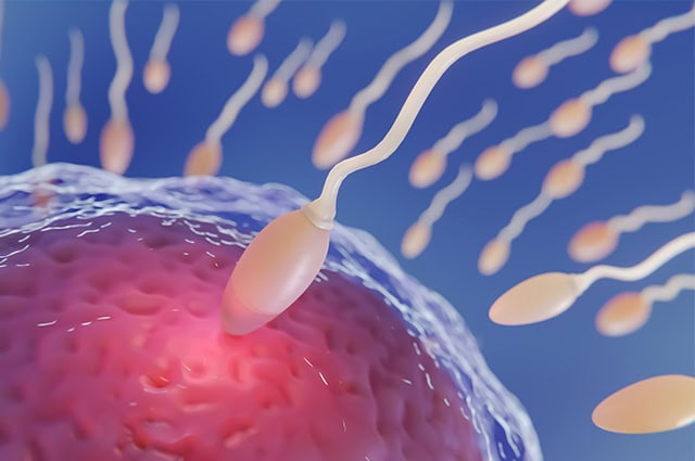 Calcium Ionophore Activation