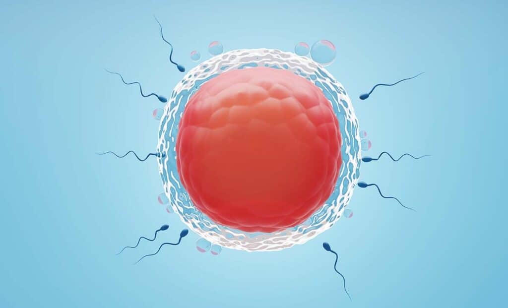 WHY NO EGGS WERE COLLECTED DURING OVUM PICK UP ?CANCELLED IVF?