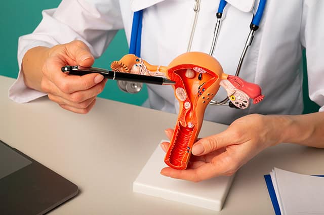 Intra Uterine Insemination IUI