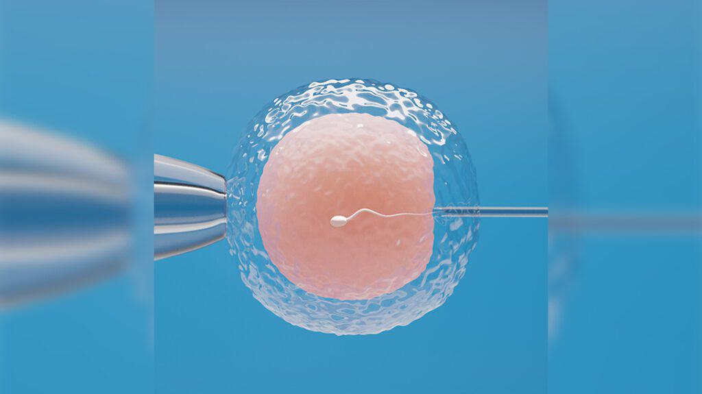 Exploring the Right Age to Preserve Your Fertility with Egg Freezing