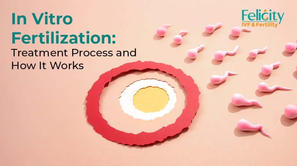 In Vitro Fertilization: Treatment Process and How It Works